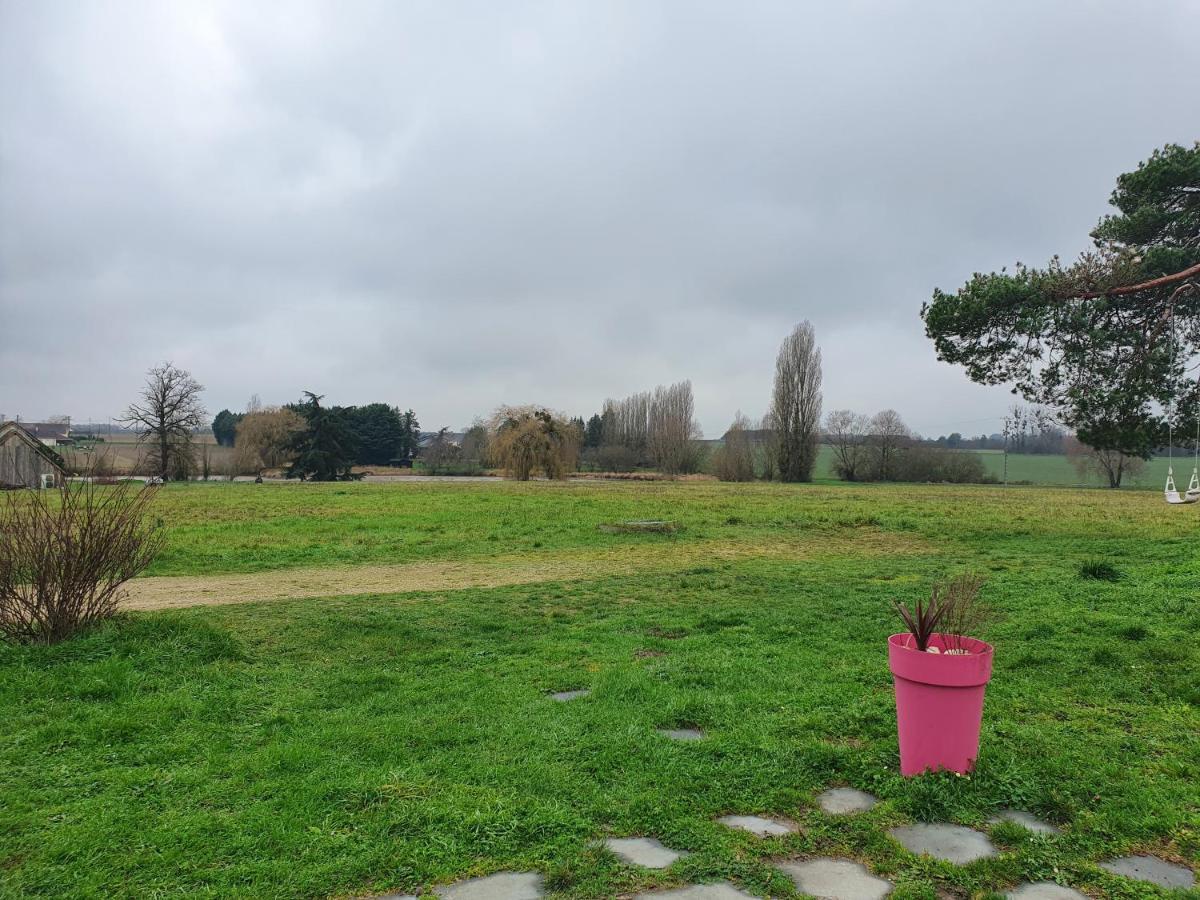 Choussy Gite Du "Chat Botte" Zoo De Beauval Chateaux De La Loire 4 Pers מראה חיצוני תמונה